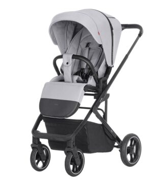 Коляска прогулочная Carrello Alfa 5