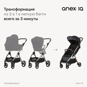 Коляска 2в1 Anex IQ Basic NEW 46