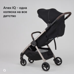 Коляска 2в1 Anex IQ Basic NEW 50