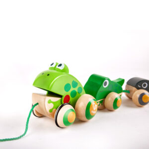Каталка для малышей Hape "Семья лягушек на прогулке" 16