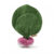 RAMONA THE RADISH