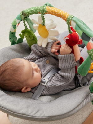 Шезлонг детский Happy Baby HAMMY 23