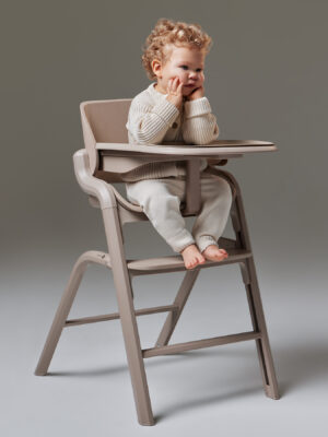 boyz1wp489xt49iha86o9glzh6jf2uyc Стул для кормления Happy Baby CHARLEY 55
