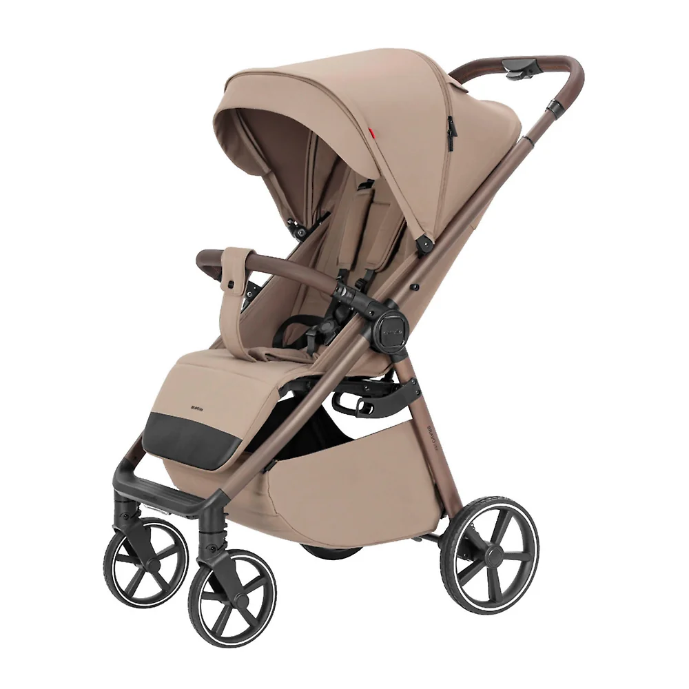 Коляска прогулочная Carrello Bravo Lite 1