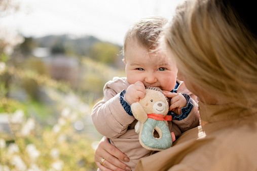 image_060164_ring_greifling_bear_08_kl_insta_min Погремушка-кольцо FEHN мягкая Мишка Бруно 2