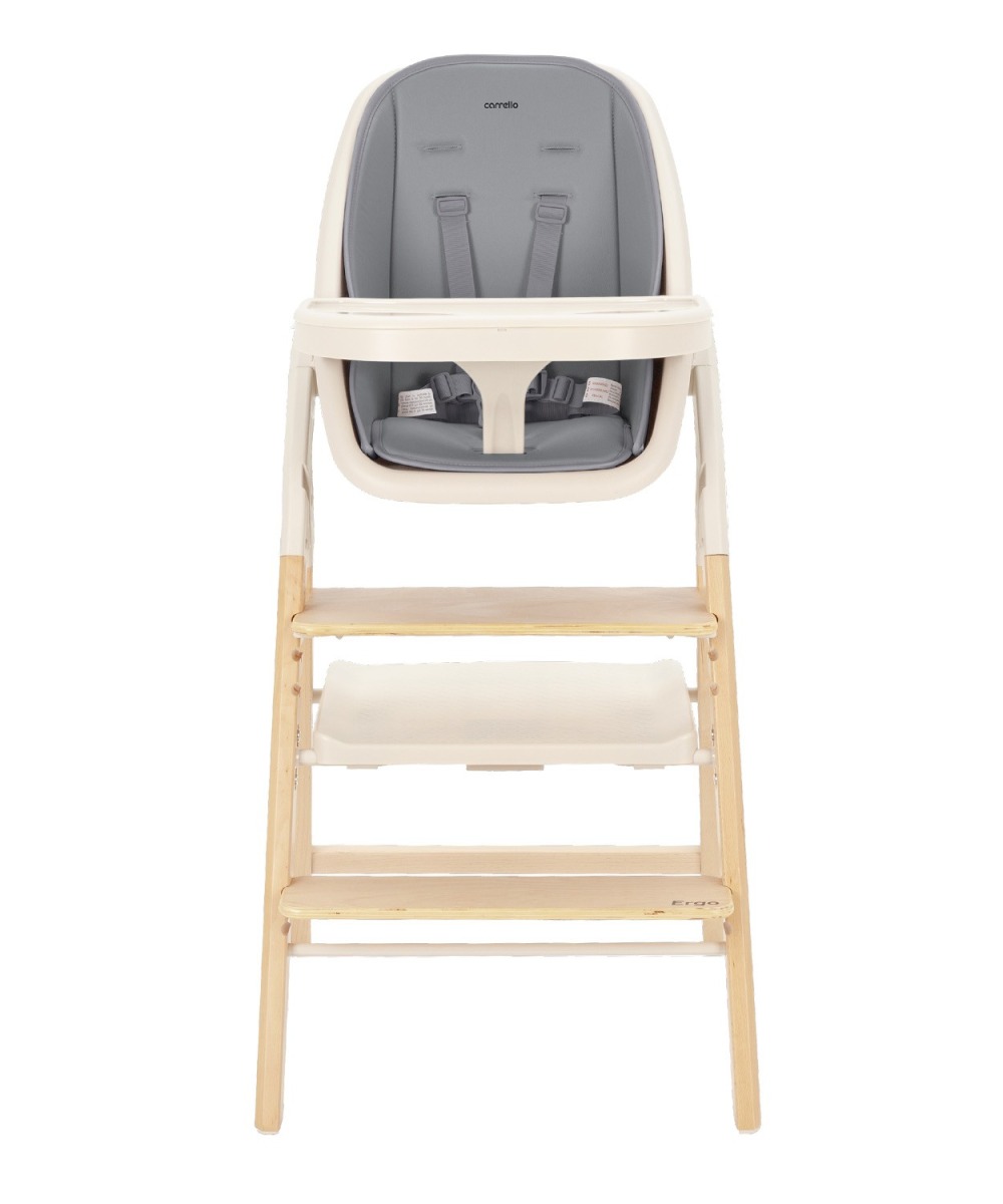 Стульчик для кормления Carrello Ergo 5