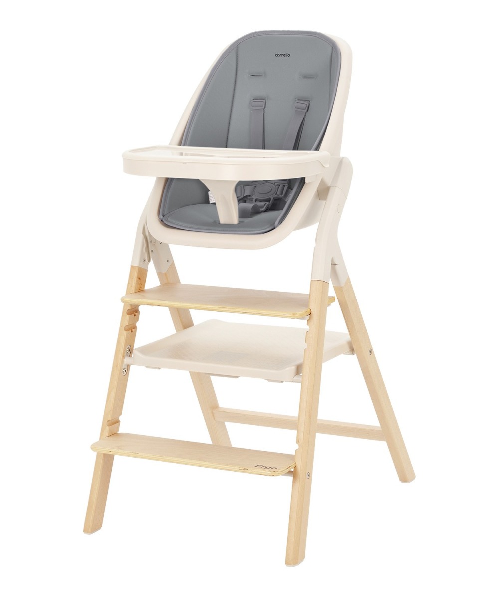 Стульчик для кормления Carrello Ergo 2