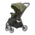 Bamboo Green