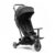Onyx Black