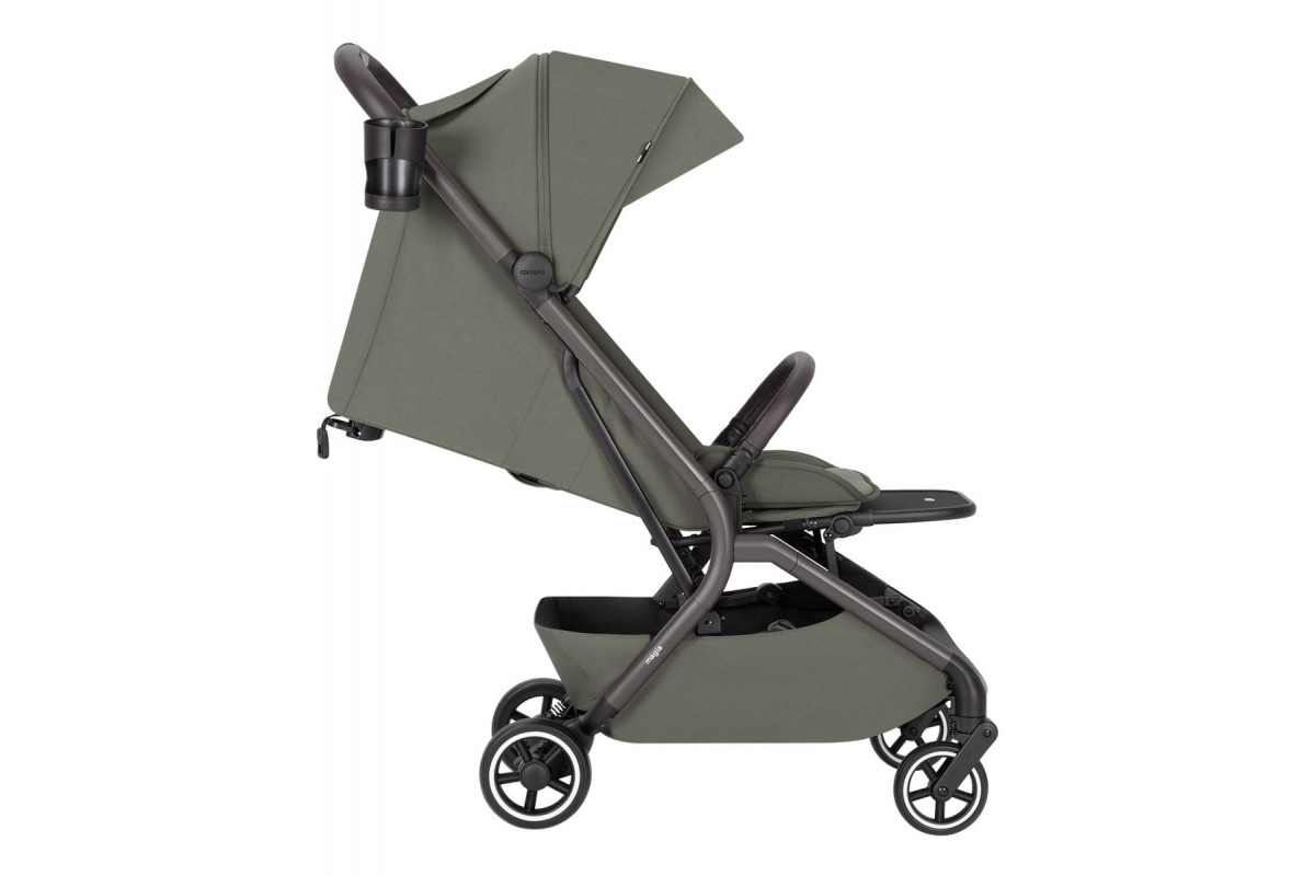 Коляска 2в1 Carrello Magia CRL-6555 8 malted green