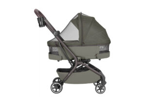 Коляска 2в1 Carrello Magia CRL-6555 16 malted green