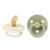 Ivory/Sage