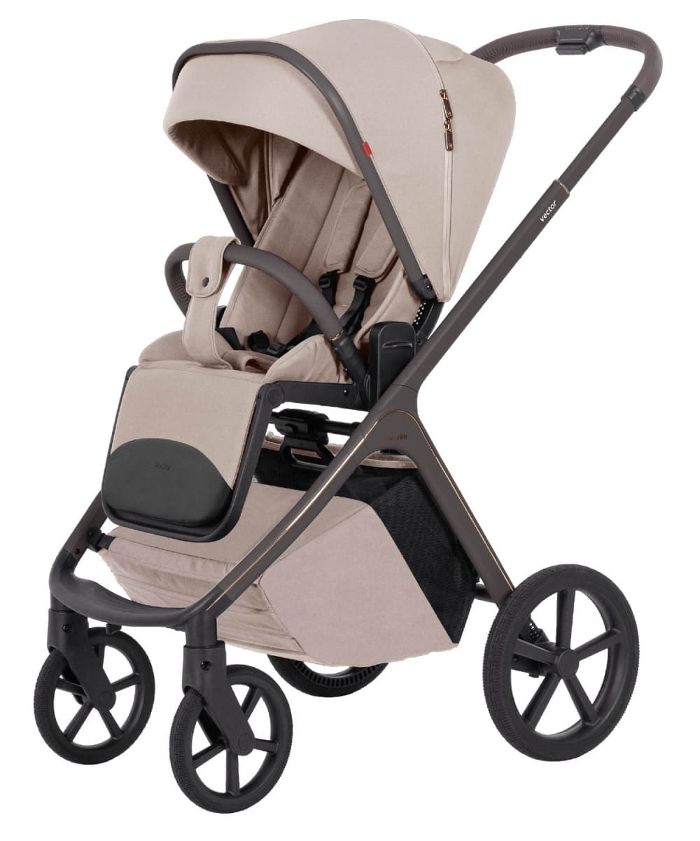 Коляска 2в1 Carrello Vector CRL-6552 limit 3