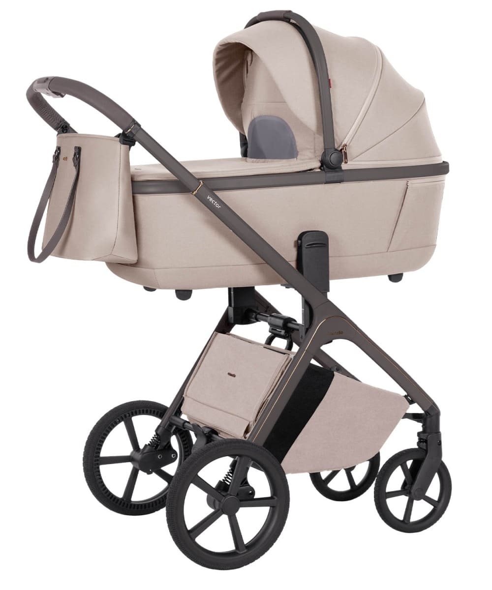Коляска 2в1 Carrello Vector CRL-6552 limit 1