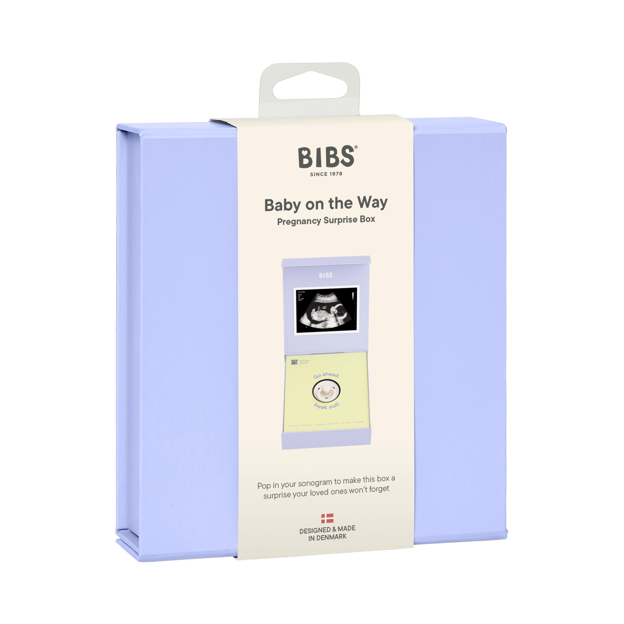 Подарочный набор пустышка латексная BIBS Colour «Baby on the Way», 0+ мес. 1 Подарочный набор пустышка латексная BIBS Colour «Baby on the Way», 0+ мес.