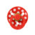 Candy Apple/Blossom